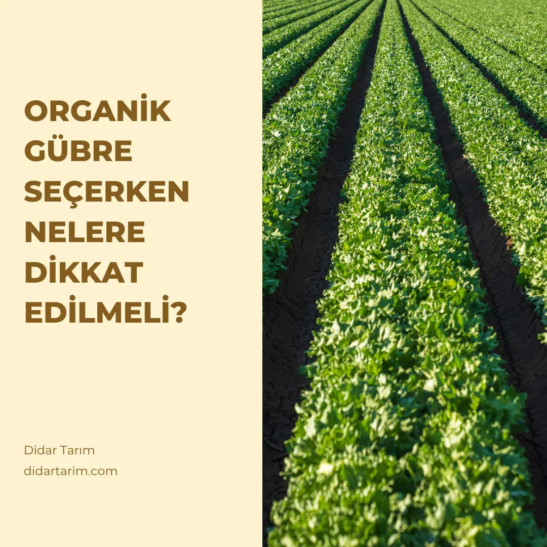 Organik Gübre Seçerken Nelere Dikkat Edilmeli?