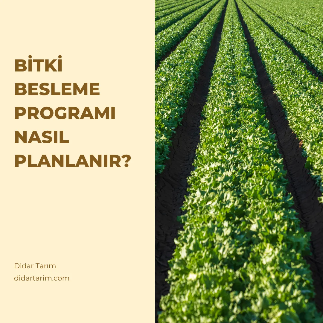 Bitki Besleme Programı Nasıl Planlanır?