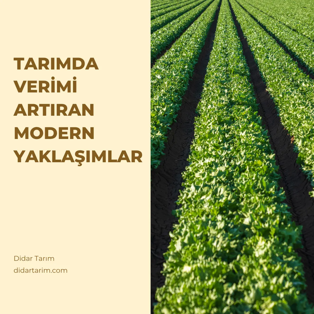 Tarımda Verimi Artıran Modern Yaklaşımlar